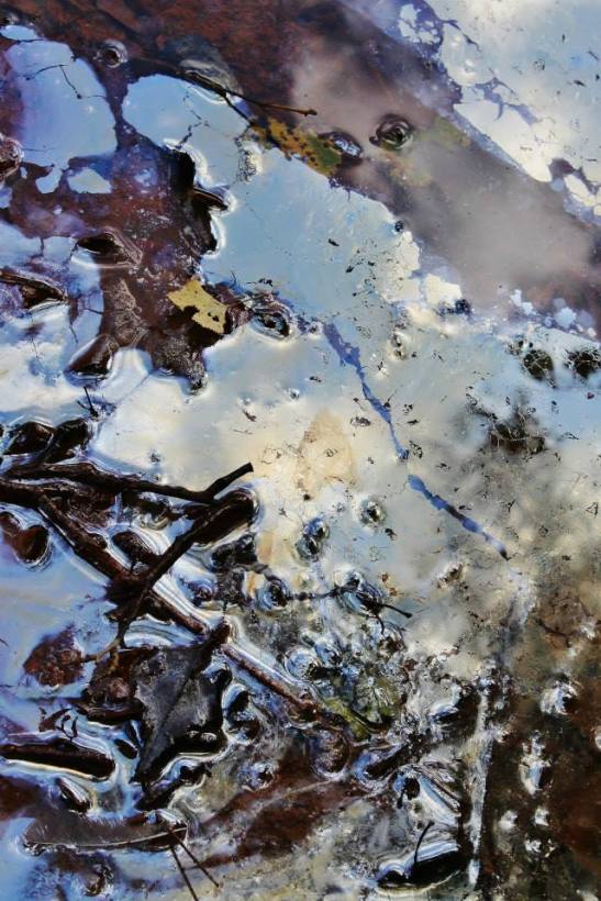 Lisa Comeau Ditch #20