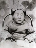 dalai lama child