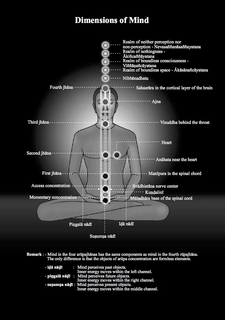 Vimuttidhamma_by_Piyadhassi_Bhikkhu (dragged).jpg